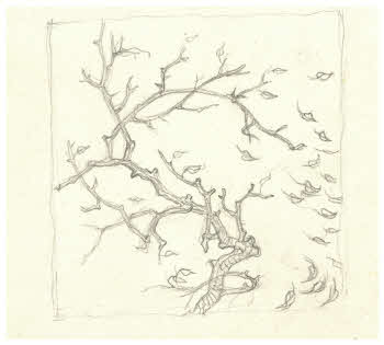 Visualizza l'immagine "FD D 1615"